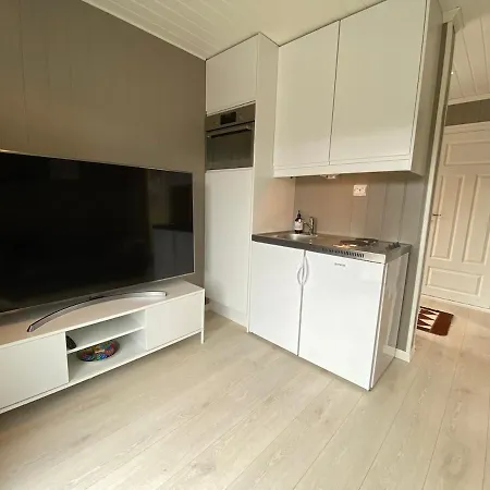 For Rent In Scenic * Stryn